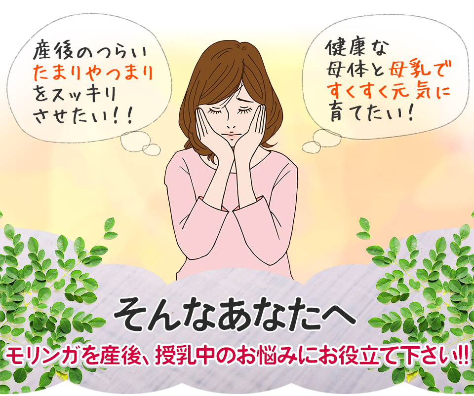 産後のつらいたまりやつまりをスッキリさせたい！健康な母体と母乳ですくすく元気に育てたい！そんなあなたへモリンガを産後、授乳中のお悩みにお役立て下さい！