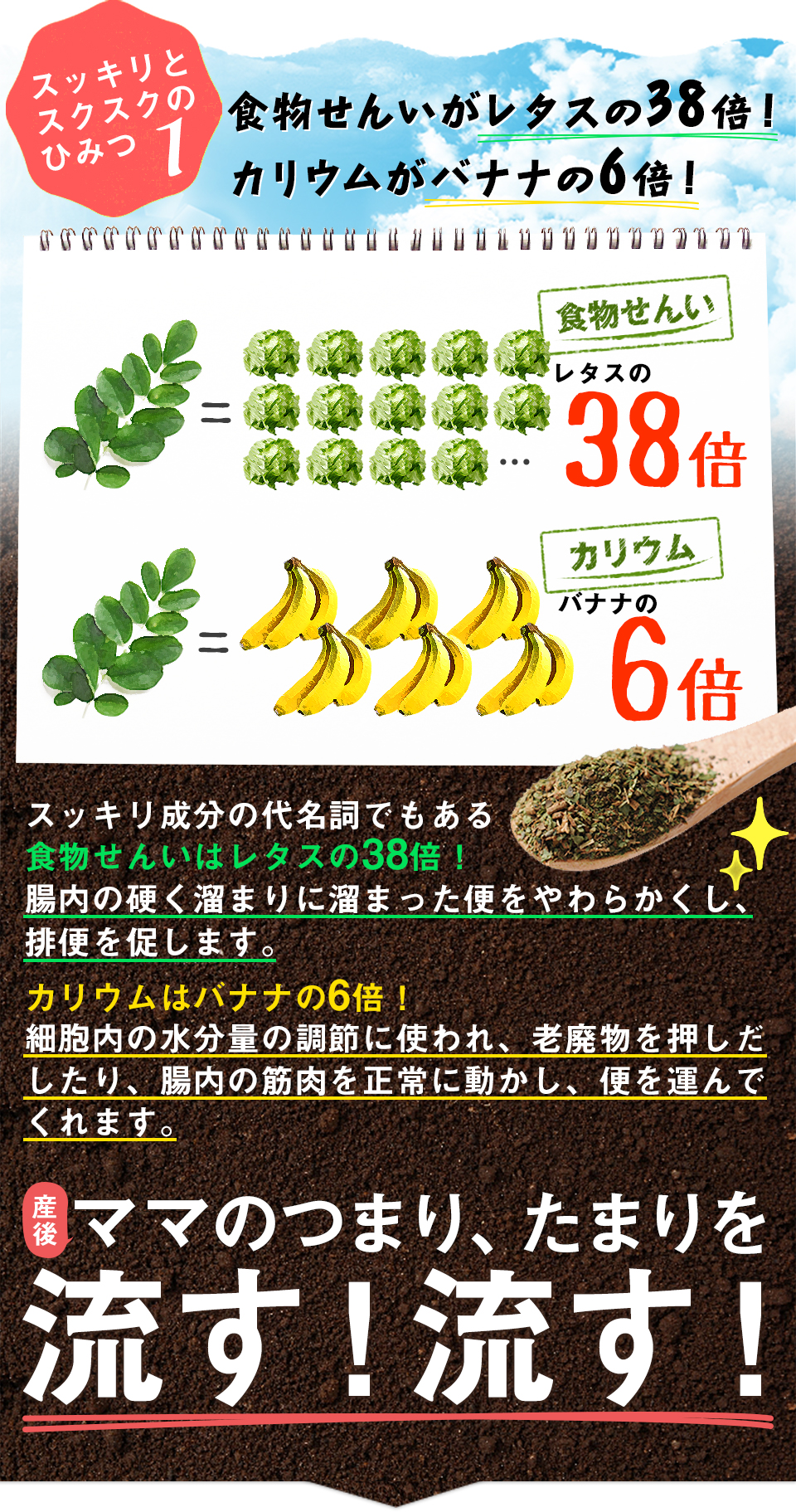 スッキリとキレイのひみつ1　食物繊維がレタスの38倍！ カリウムがバナナの6倍！