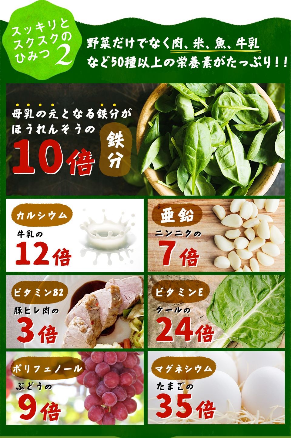 スッキリとキレイのひみつ2　野菜だけでなく肉、米、魚、牛乳などの栄養素もたっぷり!!