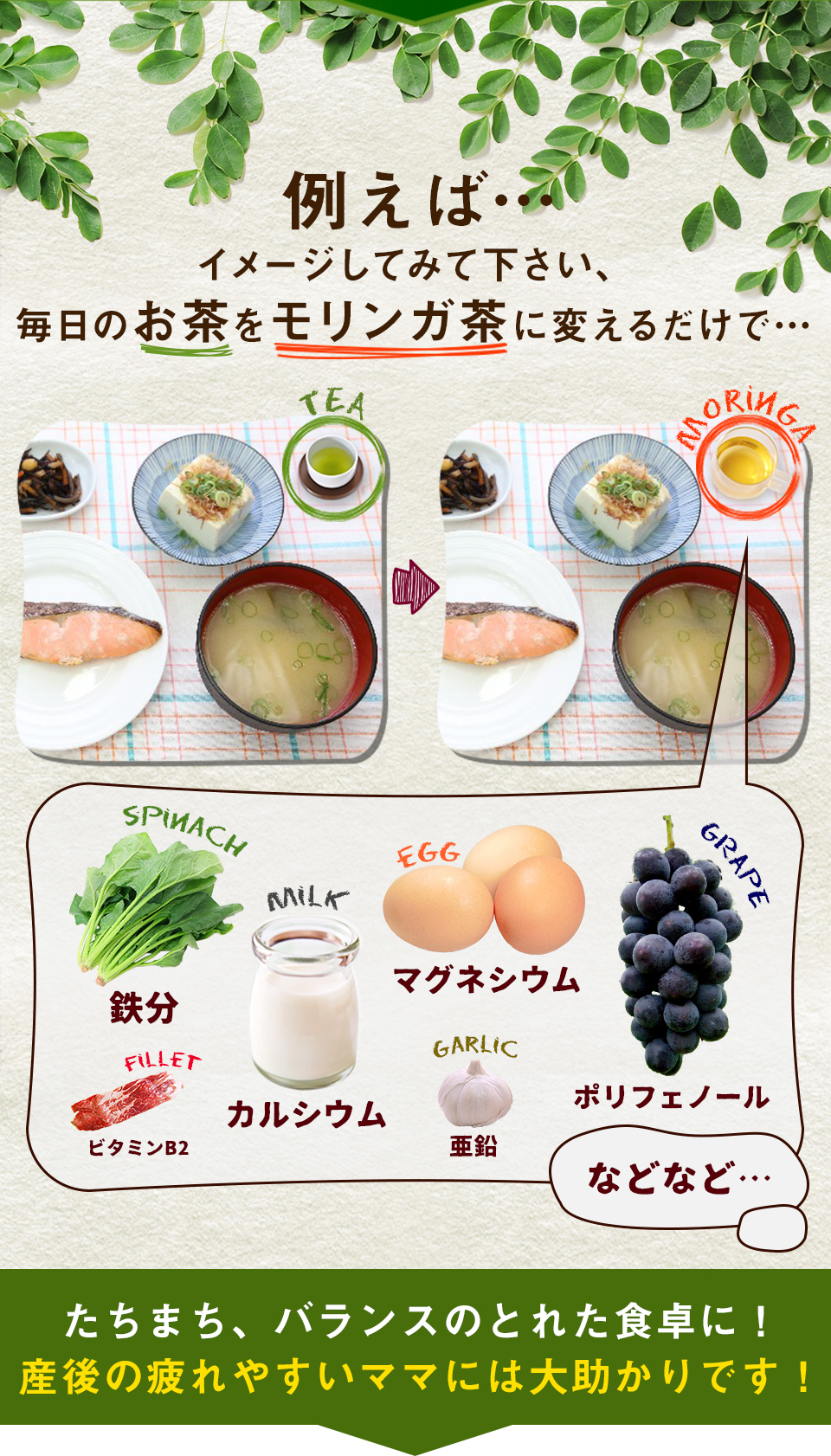 例えば…毎日のお茶をモリンガ茶に変えるだけで…たちまち、バランスのとれた食卓に！産後の疲れやすいママには大助かりです！